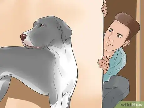 Imagen titulada Stop a Dog from Killing Squirrels Step 5