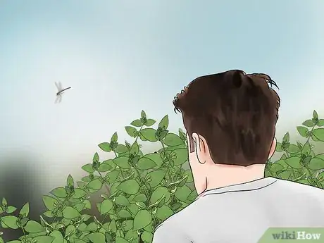 Imagen titulada Catch Dragonflies Step 6