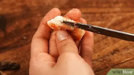 Imagen titulada Eat Prawns Step 4