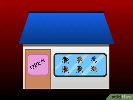 Imagen titulada Pick a Pet Tarantula Step 4
