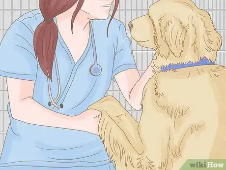 Imagen titulada Stop a Dog from Humping Step 16