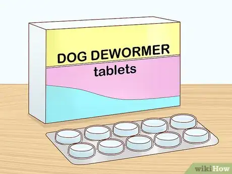 Imagen titulada Get a Dog to Stop Eating Dirt Step 8