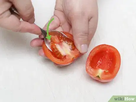 Imagen titulada Seed Tomatoes Step 3