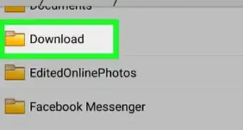 abrir el gestor de descargas en Android