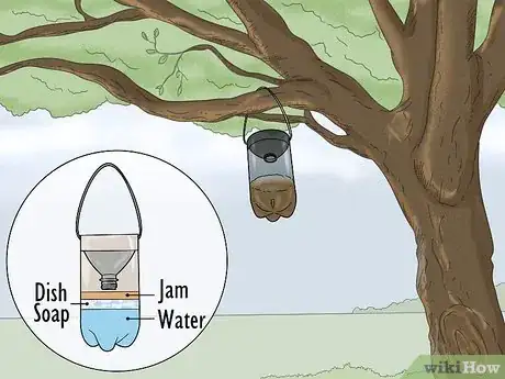 Imagen titulada Keep Hornets Away Step 1