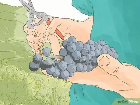 Imagen titulada Become a Wine Sommelier Step 6