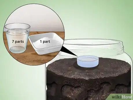 Imagen titulada Care for Ants Step 11