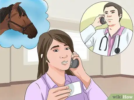 Imagen titulada Take a Horse's Temperature Step 24