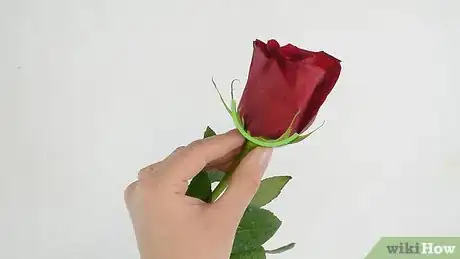 Imagen titulada Keep Roses Fresh Step 3