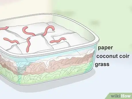 Imagen titulada Feed Worm Farm Worms Step 4
