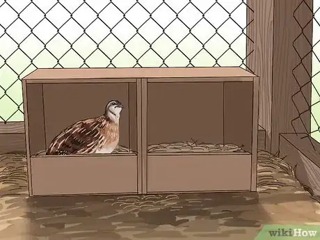 Imagen titulada Build a Quail Habitat Step 10
