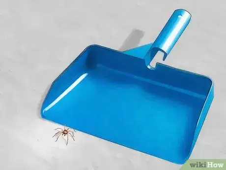 Imagen titulada Get Spiders Out of Your House Without Killing Them Step 13