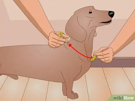 Imagen titulada Make a Dog Coat Step 1