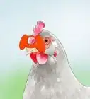 evitar que las gallinas se coman sus propios huevos