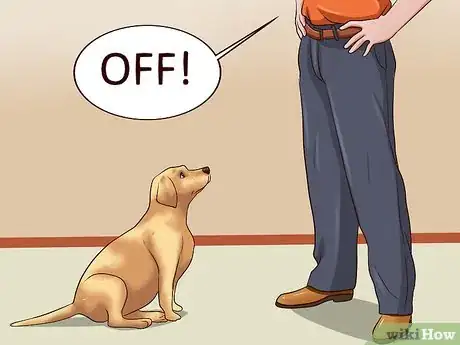 Imagen titulada Teach Your Dog Not to Get Into Garbage Cans Step 10