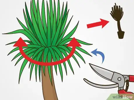 Imagen titulada Prune Yucca Plants Step 1