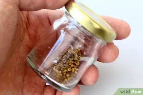 Imagen titulada Dry Okra Seeds Step 7