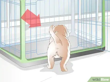 Imagen titulada Get Your Puppy To Sleep in Its Own Bed Step 2