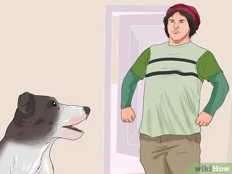 Imagen titulada Keep a Jack Russell Terrier Happy Step 13