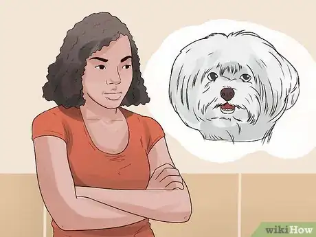 Imagen titulada Care for a Maltese Dog Step 3
