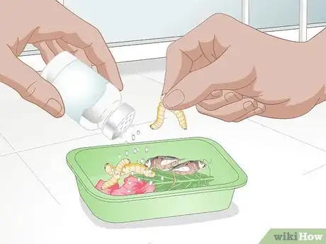 Imagen titulada Feed a Bearded Dragon Step 10