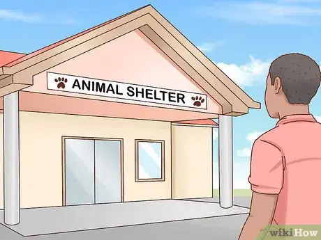 Imagen titulada Adopt a Puppy Step 6