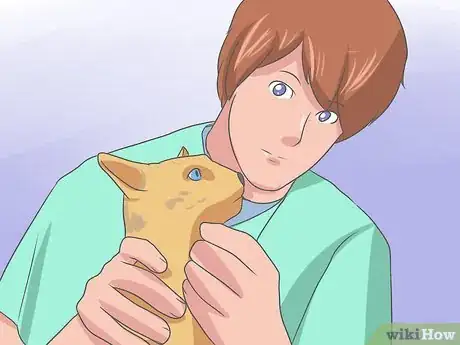 Imagen titulada Recognize and Treat Ringworm in Cats Step 5