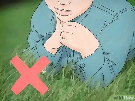 Imagen titulada Get Rid of Ticks Around Your Home Step 14