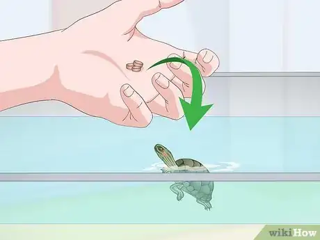 Imagen titulada Feed a Red‐Eared Slider Turtle Step 8