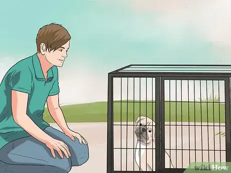 Imagen titulada Train Pugs Step 5