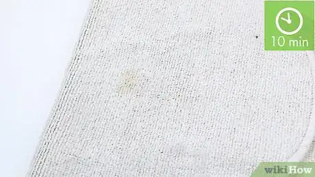 Imagen titulada Clean Carpet Stains Step 4