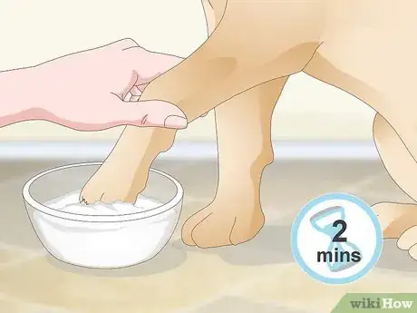 Imagen titulada Stop a Quick from Bleeding Step 8