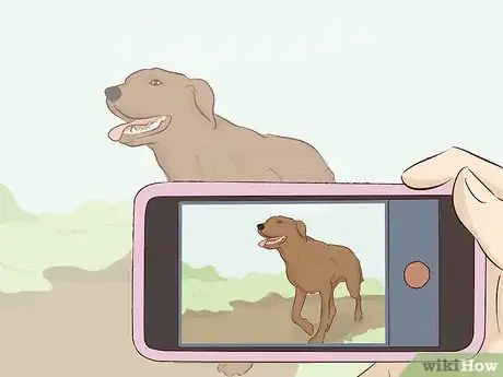 Imagen titulada Learn Video Editing Step 1.jpeg