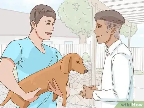 Imagen titulada Hold a Dachshund Properly Step 11