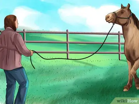 Imagen titulada Bond With Your Horse Using Natural Horsemanship Step 8