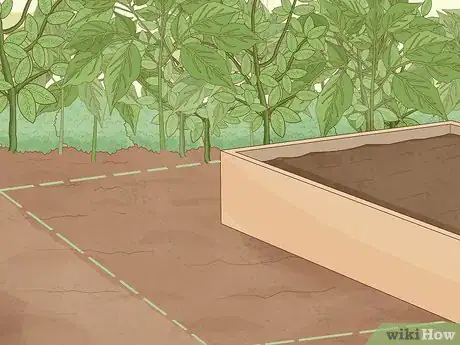 Imagen titulada Create a Habitat for a Toad Step 3