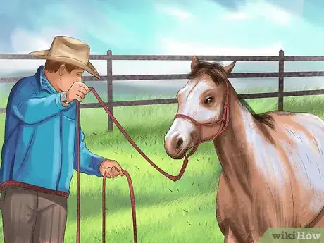 Imagen titulada Bond With Your Horse Using Natural Horsemanship Step 6