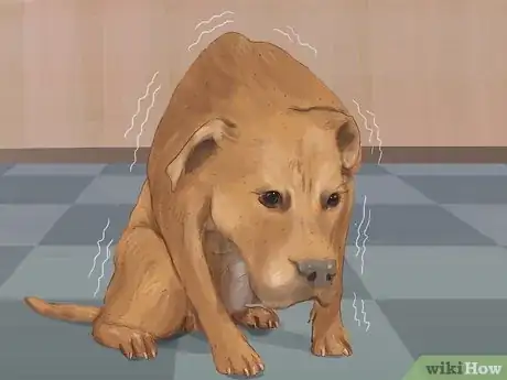 Imagen titulada Recognize Fear in Dogs Step 8