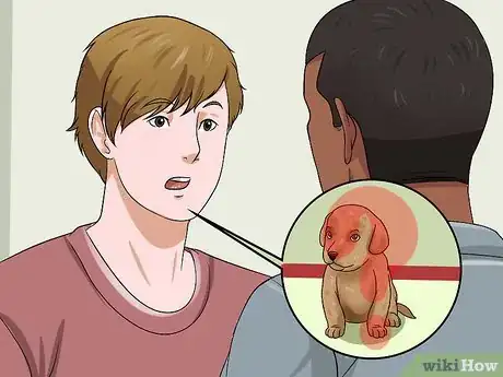 Imagen titulada Choose a Healthy Puppy Step 11