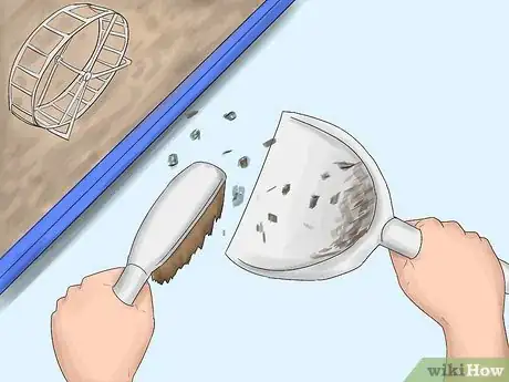Imagen titulada Get Rid of Tropical Rat Mites on Pet Rats Step 3