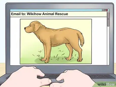Imagen titulada Get Rid of Your Dog Step 8