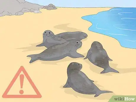 Imagen titulada Get over Your Fear of Sharks Step 17