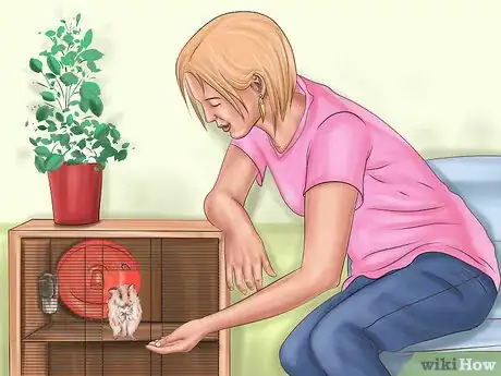 Imagen titulada Create a Bond With Your Hamster Step 5