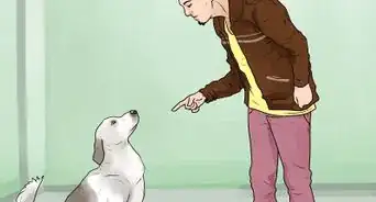 hacer que tu perro deje de ladrar a extraños