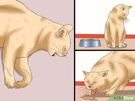 Imagen titulada Tell if a Cat Has Rabies Step 1