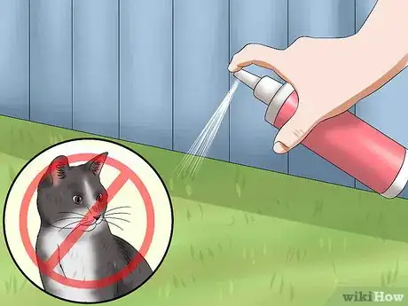Imagen titulada Diagnose Feline Panleukopenia (Distemper) Step 12