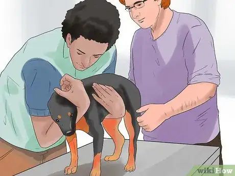 Imagen titulada Nurse a Dog Through Parvo Step 16