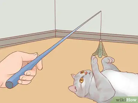 Imagen titulada Stop Your Cat from Begging Step 9