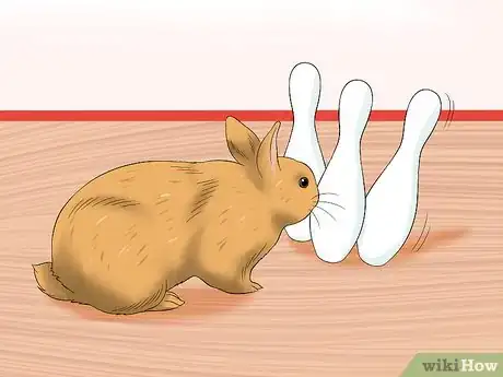 Imagen titulada Treat Digestive Problems in Rabbits Step 18