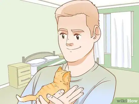 Imagen titulada Get a Kitten to Fall Asleep Step 8